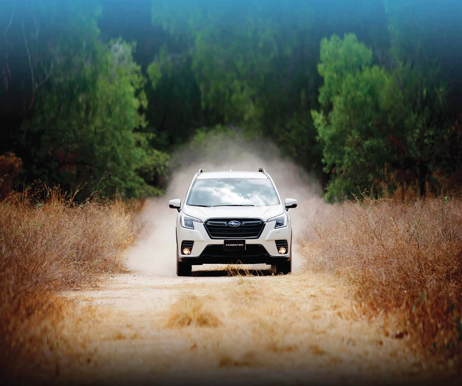 Subaru Forester 2.0i-S EyeSight